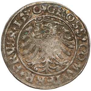 Zygmunt I Stary, Grosz Toruń 1530 - miecz w prawo