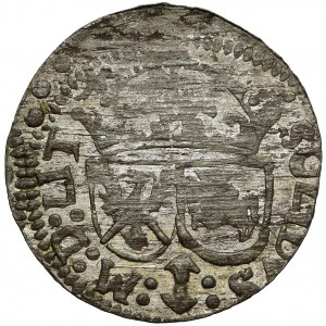 Zygmunt III Waza, Szeląg Wilno 1616