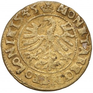 Zygmunt I Stary, Grosz Kraków 1545 - falsyfikat z epoki