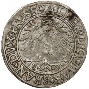 Prusy, Albrecht Hohenzollern, Grosz Królewiec 1535 - PRVSS