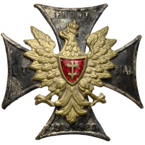 Odznaka, Front Litewsko-Białoruski 1919-1920 - duże braki w emalii