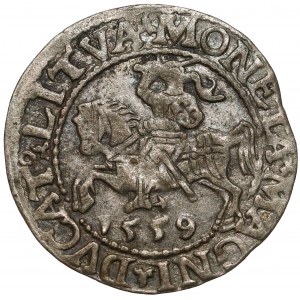 Zygmunt II August, Półgrosz Wilno 1559 - LITVA - rzadki