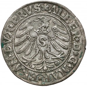 Prusy, Albrecht Hohenzollern, Grosz Królewiec 1531