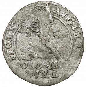Zygmunt II August, Grosz na stopę polską 1567, Tykocin