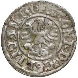 Aleksander Jagiellończyk, Półgrosz Wilno - renesansowy