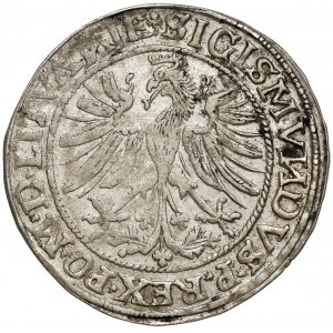 Zygmunt I Stary, Grosz Wilno 1535 - bardzo ładny