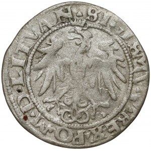 Zygmunt I Stary, Grosz Wilno 1536 - litera F - luty