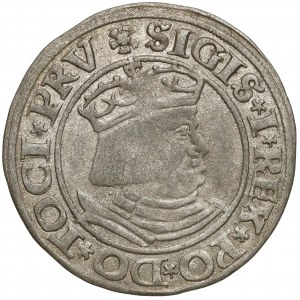 Zygmunt I Stary, Grosz Gdańsk 1530 - pierwszy - rzadki