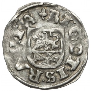 Brunswick-Wolfenbüttel, Friedrich Ulrich, 1/24 Taler 1620