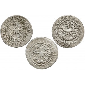 Półgrosze Zygmunt I Stary - Wilno 1513-1523 (3szt)