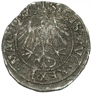 Zygmunt III / Zygmunt II, Falsyfikat z epoki - Grosz / Półgrosz - CIEKAWY
