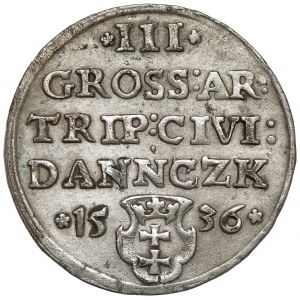 Zygmunt I Stary, Trojak Gdańsk 1536 - DANNCZK