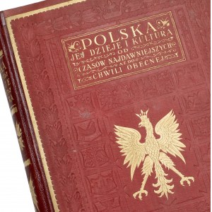 Monety, pieczęcie, medale od X do XVI wieku – tablice autorstwa Gumowskiego [Polska, jej dzieje i kultura]