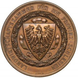 Medal, Śląsk, Rolnicza Wystawa Prowincji Śląskiej