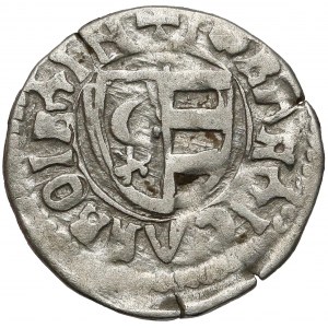 Rumunia, Hospodarstwo Wołowskie, Władysław II (1447–1456), Dinar