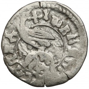 Rumunia, Hospodarstwo Wołowskie, Władysław II (1447–1456), Dinar