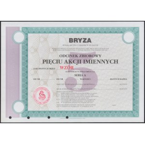 BRYZA S.A. w Szczecinie, WZÓR Akcji