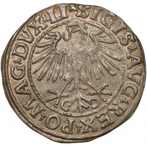 Zygmunt II August, Półgrosz Wilno 1548