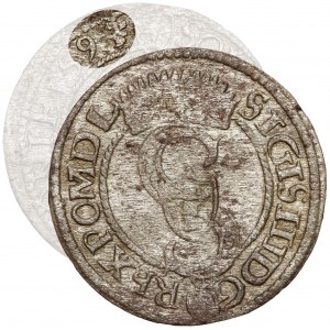 Zygmunt III Waza, Szeląg Olkusz 1594/3 - Topór - rzadki