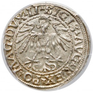 Zygmunt II August, Półgrosz Wilno 1548 - piękny