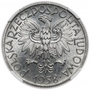 5 złotych 1958 Rybak - wąska ósemka