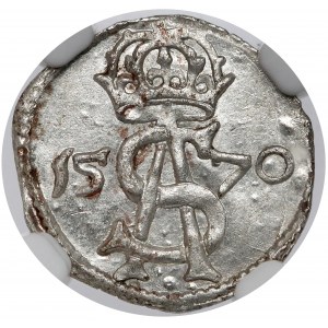 Zygmunt II August, Dwudenar Wilno 1570 - PIĘKNY