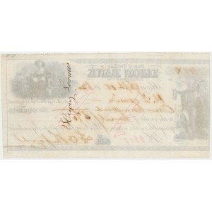State od New York, Ilion Bank - Check, 19th Century
