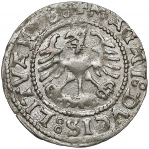 Zygmunt I Stary, Półgrosz Wilno 1528 - odwrócone N - ŁADNY