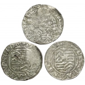Hanau-Lichtenberg, 3 Kreuzer o.J. und 3 Kreuzer 1596