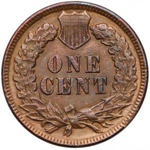 USA, 1 cent 1895 - Indian Head