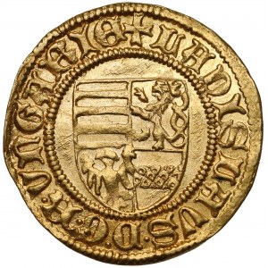Węgry, Władysław V Pogrobowiec, Goldgulden (1447-1457), Krzemnica