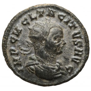 Tacyt (275-276 n.e.) Antoninian, Kyzikos