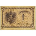 1 złoty 1919 - S.71 C