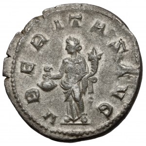 Trajan Decjusz (249-251 n.e.) Antoninian, Rzym