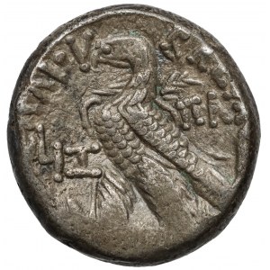 Ptolemeusz X (101-88 p.n.e.) Tetradrachma, Aleksandria