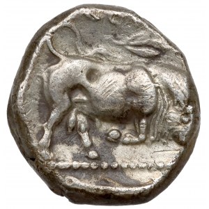 Grecja, Lukania, Thourioi, Stater (425-400pne)