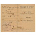 PESnZ - Ausweis und Führerschein - 3 pro Person