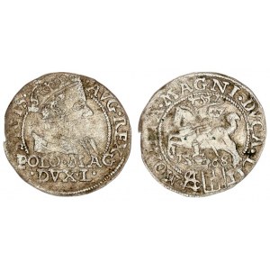 Lithuania 1 Grosz 1568 Vilnius Sigismund II Augustus (1545-1572) Lithuanian coins 1568 Vilnius. Endi...