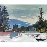 Franciszek WÓJCIK (1903-1984), Pejzaż górski, 1938