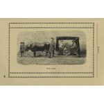 MAJEWSKI, Alojzy - Podróż misyjna do Afryki. Wadowice 1927, Księża Pallotyni. 22 cm, s. 172, ilustr...