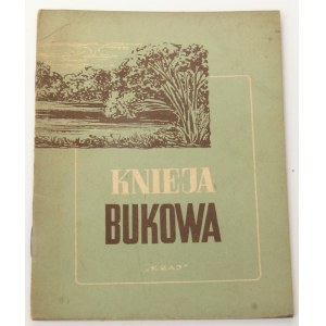 Groński Stanisław, Knieja bukowa