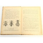 Weber Leonard, Hodowla Pszczół według nowoczesnych zasad pszczelnictwa
