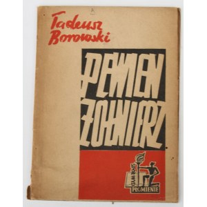 Borowski Tadeusz, Pewien żołnierz