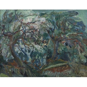 Epstein Henry, KRAJINA, 1927