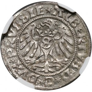 Prusy Książęce, Albert Hohenzollern, szeląg 1529, Królewiec, Legenda od dołu