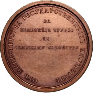 Rosja, Mikołaj I, medal, Nagroda Ministerstwa Mienia Państwowego, bez daty (1845), Nowodieł