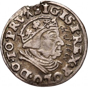 Zygmunt I Stary, trojak 1539, Gdańsk