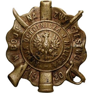 II RP, Odznaka Armii Ochotniczej generała Józefa Hallera z 1920 roku