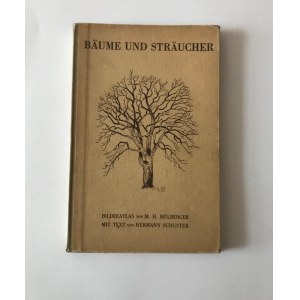 Baume und Straucher [Drzewa i krzewy] Zielnik - zbiór ilustracji