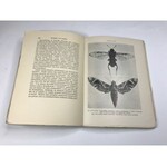 Wit M. Mistrzostwo Natury